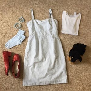 Dorothy Wizard of Oz costume